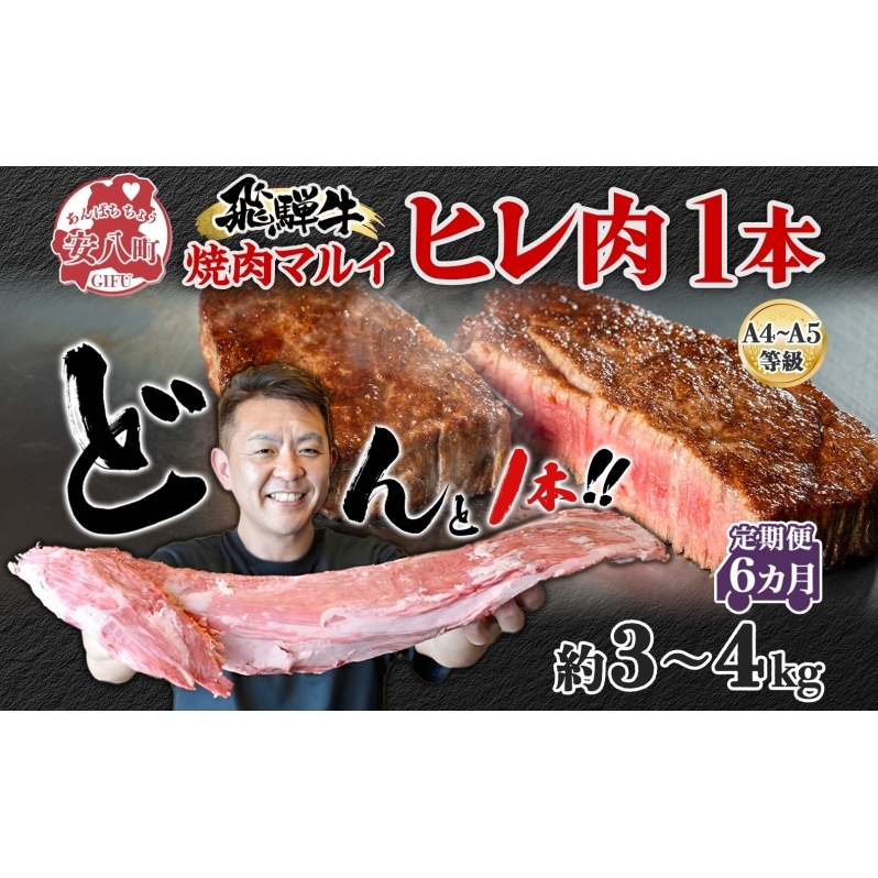 飛騨牛 ヒレ肉 ブロック A4~A5等級 1本6ヵ月定期便約3~4kg  3割×6 ヒレ シャトーブリアン 肉 牛肉 ブランド牛 お肉 和牛 贅沢 お取り寄せ ご褒美 ステーキ 豪華 グルメ 焼肉 BBQ パーティー ギフト 贈り物 自家用 贈答用 焼肉マルイ 岐阜県 【 安八町 】