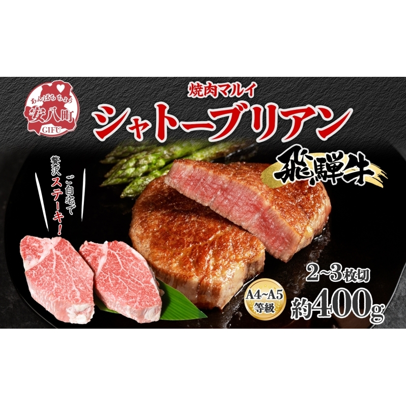 飛騨牛 シャトーブリアン ステーキ 約400g 2～3枚切り 肉 牛肉 和牛 ブランド牛 お肉 ビーフ ヒレ 希少部位 赤身 贅沢 国産 お取り寄せ ご褒美 豪華 グルメ 焼肉 BBQ パーティー ギフト 贈り物 自家用 贈答用 送料無料 焼肉マルイ 岐阜県 【 安八町 】