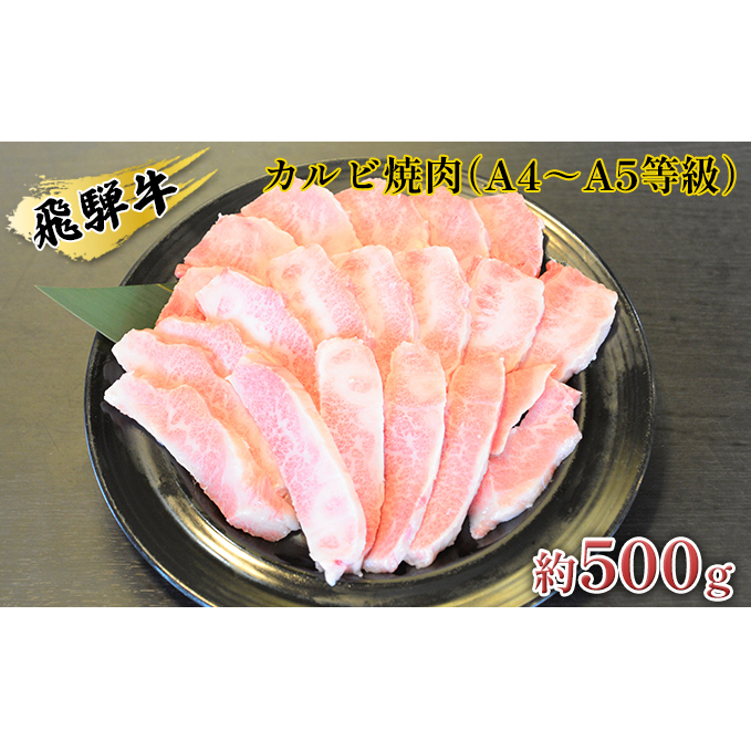 飛騨牛カルビ焼肉(A4~A5等級)約500g(約250g×2パック) お肉 牛肉 バーベキュー