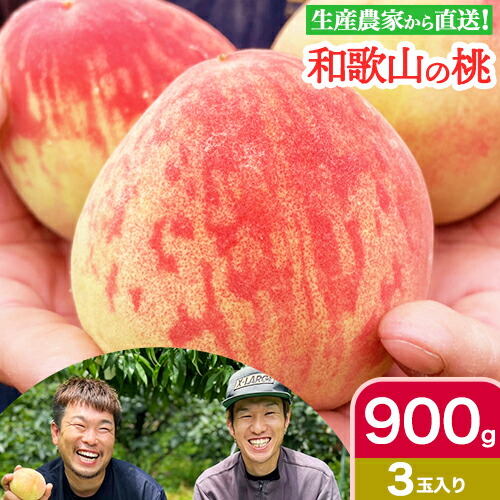 和歌山県産の桃 約900g (3玉入り) GREEN JUNCTION株式会社[2025年6月中旬-2025年8月末頃出荷]和歌山県 紀の川市 桃 果物 果実 フルーツ 自然栽培 送料無料---wsk_cgjt3_6c8m_24_8000_3t---