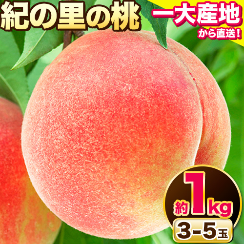 桃 もも【2026年先行予約】和歌山県産 紀の里の桃 約1kg (3-5玉入り)《6月中旬-8月中旬頃出荷》 桃 2026年 先行 桃 先行予約2026 もも2026 白鳳 日川白鳳 八旗白鳳 清水白桃 川中島白桃 つきあかり もも 白鳳 先行予約 もも川中島 もも2026 もも 白鳳 先行予約 もも 先行予約 もも 和歌山 もも---wfn_cwlocal70_6c8c_25_8000_1kg---