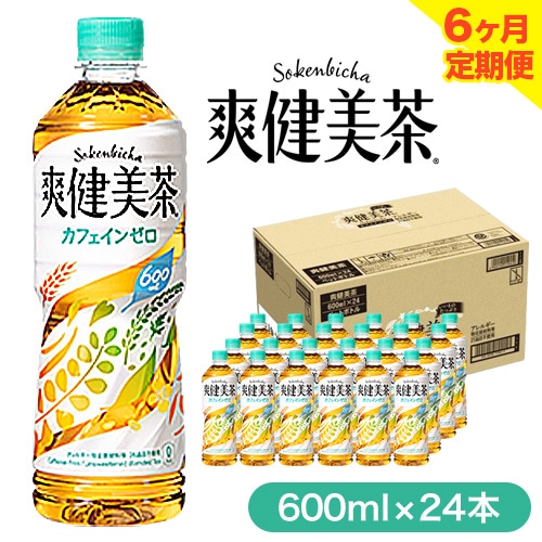 6ヶ月 定期便 ★ 爽健美茶 600ml×24本 コカ・コーラボトラーズジャパン [お申込み月翌月から出荷開始] 和歌山県 紀の川市 お茶 茶 ハトムギ 玄米 月見草---wsk_coctei5_25_86500_mo6num1---