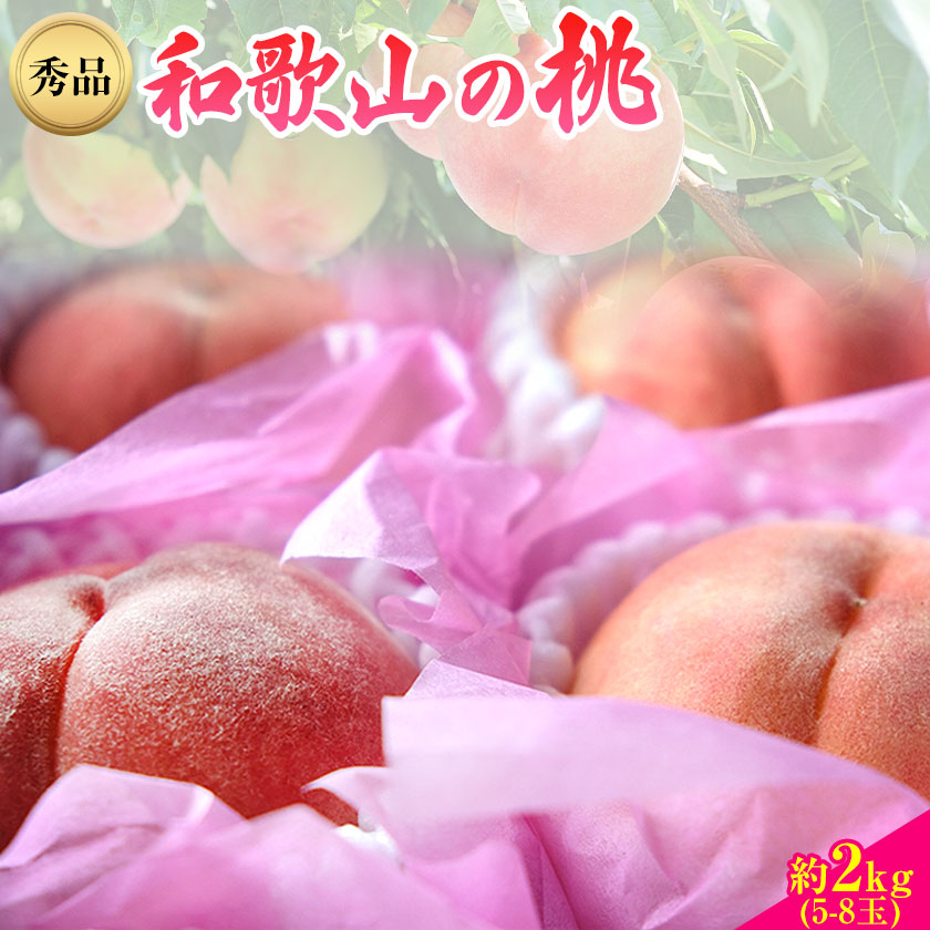 [先行予約]和歌山県産桃(もも) 約2kg 5〜8玉秀品 前商店[6月中旬-8月上旬頃出荷]産地直送 もも モモ 果物 フルーツ---wsk_cmes3_6c8j_24_15000_2kg---