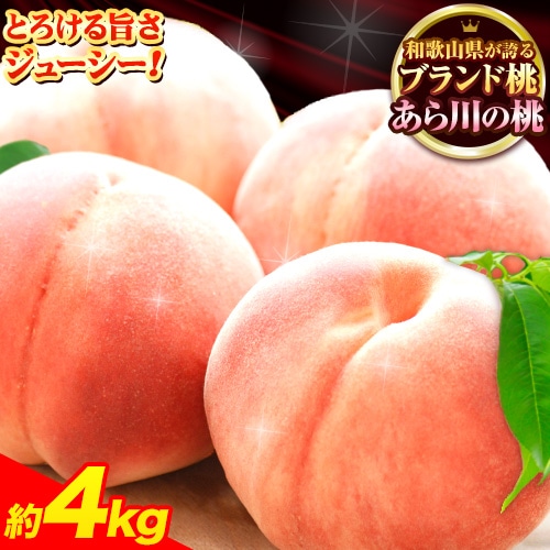 [先行予約]桃 もも あら川の桃 和歌山県産 紀州 の名産 旬の桃厳選 約4kg 10-15玉入り [2026年6月中旬-8月中旬頃出荷] 果物 フルーツ お取り寄せ 和歌山 予約 あかつき 紀の川 あらかわ 白鳳 日川白鳳---wfn_cwlocal129_6c8c_25_24500_4kg---