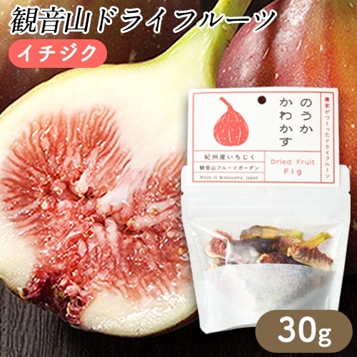 観音山ドライフルーツ(イチジク)30g1個 有限会社柑香園 《30日以内に出荷予定(土日祝除く)》 和歌山県 紀の川市 フルーツ 果物 いちじく ドライフルーツ 送料無料---wsk_kcedryi_30d_22_6000_30g---