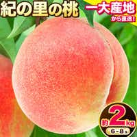 [先行予約]桃 もも 和歌山県産 約2kg [2026年6月中旬-8月中旬頃出荷] 紀の里の桃 送料無料 6〜8玉入り 旬の桃を厳選 あかつき モモ 果物 フルーツ お取り寄せ あかつき 予約 和歌山 白鳳 日川白鳳---wfn_cwlocal127_6c8c_25_13000_2kg---