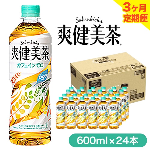 3ヶ月 定期便 ★ 爽健美茶 600ml×24本 コカ・コーラボトラーズジャパン(株) [お申込み月翌月から出荷開始] 和歌山県 紀の川市 お茶 茶 ハトムギ 玄米 月見草---wsk_coctei6_25_43500_mo3num1---