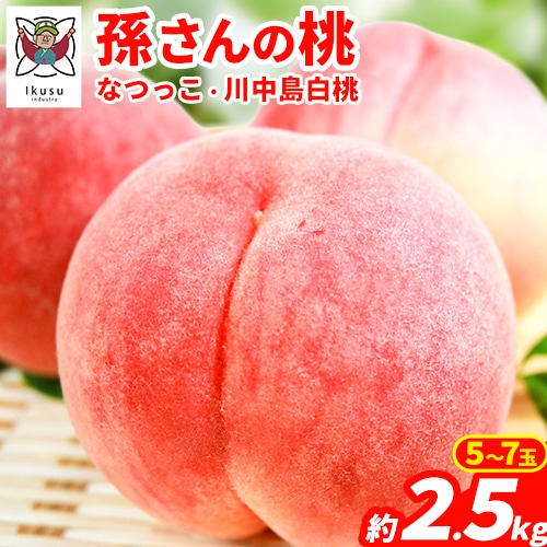 [先行予約]和歌山県紀の川市産 孫さんの桃(なつっこ・川中島白桃) 2.5kg(5~7玉) イクス産業[7月上旬-8月中頃より出荷予定] 和歌山県 紀の川市---wsk_cixs8_7j8c_24_15000_2500g---