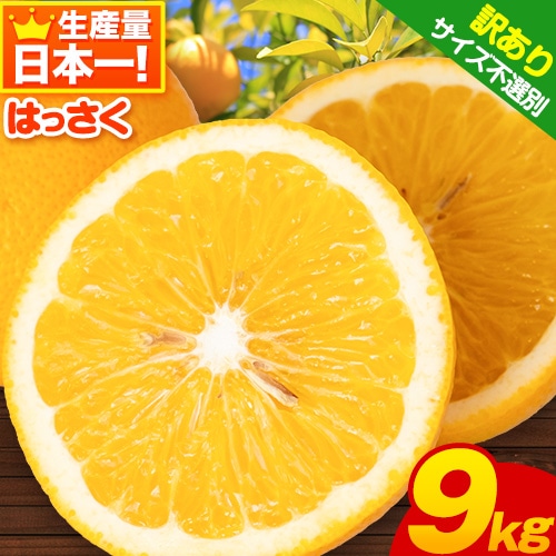 [訳あり/ご家庭用]はっさく 約9kg (4L~Sサイズ) サイズ不選別 早生･晩生指定不可 [2026年2月上旬-3月中旬頃出荷]和歌山県 紀の川市 産地直送 みかん 八朔 柑橘 果物 フルーツ ご家庭用 ビタミンC たっぷり---wfn_wlocal105_2j3c_25_10000_9kg---