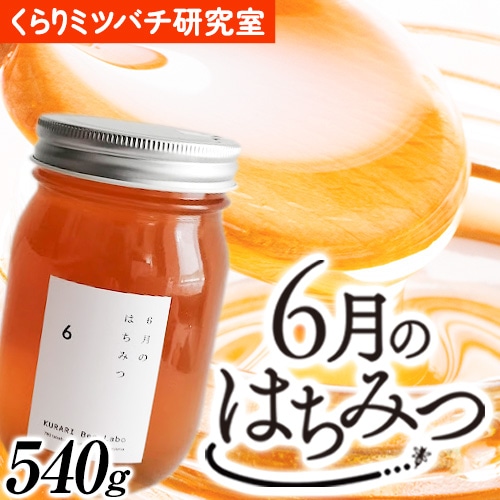 6月のはちみつ 540g KURARI くらりミツバチ研究室[90日以内に出荷予定(土日祝除く)]和歌山県 紀の川市 蜂蜜 ハチミツ 非加熱 純正生はちみつ トースト ヨーグルト---wsk_krr2_90d_24_11000_1d---