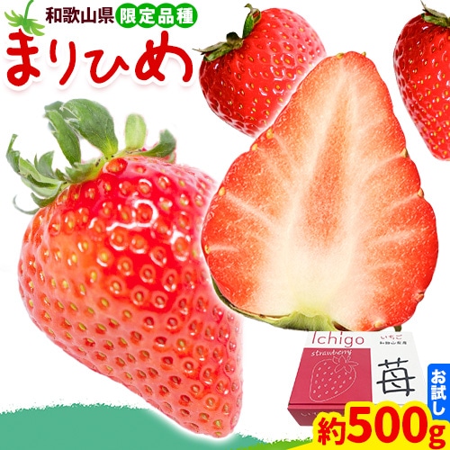いちご まりひめ 約500g ( 250g × 2パック ) お試し パック 苺 イチゴ 紀の里農業協同組合[2026年2月中旬-3月末頃出荷] 和歌山県 紀の川市 青果物 果物 くだもの フルーツ スイーツ---wsk_cjak25_2c3m_24_8000_500g---