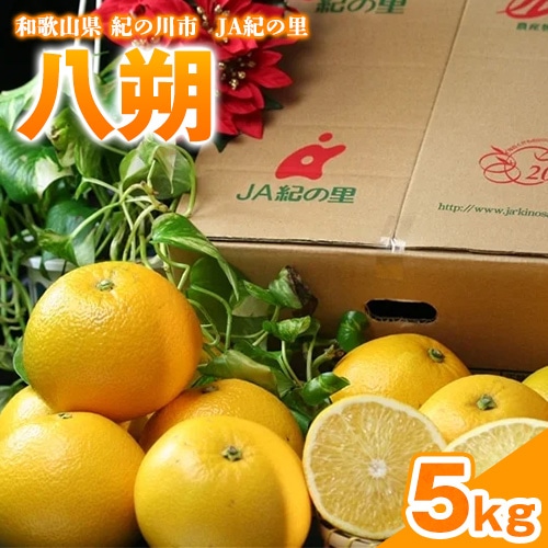 [先行予約]八朔約5kg(3L-Lサイズ)JAわかやま 紀の里地域本部 [2026年1月上旬-3月末頃出荷] 和歌山県 紀の川市 果物 フルーツ 柑橘 はっさく---wsk_jak22_1j3m_24_10000_5kg---