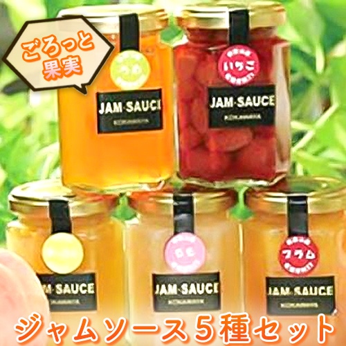 ジャム5種セット〜『プレザーブスタイル』150g×5個 かき はっさく キウイフルーツ いちじく ブルーベリー ぶどう 紀の里農業協同組合[90日以内に出荷予定(土日祝除く)]和歌山県 紀の川市---wsk_jakjam_90d_22_13000_5c---