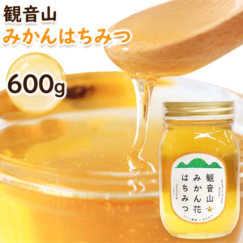 観音山みかんはちみつ600g 有限会社柑香園 《90日以内に出荷予定(土日祝除く)》和歌山県 紀の川市 蜂蜜 ハチミツ ローハニー---wsk_kcemhoney_90d_22_16000_600g---