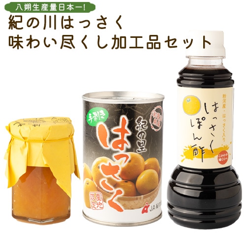 八朔生産量日本一!「紀の川はっさく」味わい尽くし加工品セット 一般社団法人紀の川フルーツ観光局《90日以内に出荷予定(土日祝除く)》和歌山県 紀の川市---wsk_frkanaji_90d_22_8000_3p---