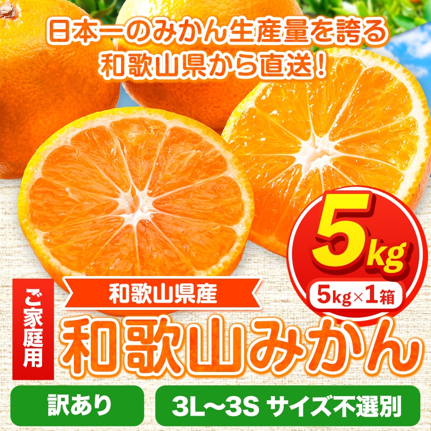 訳あり 和歌山みかん 約5kg 5キロ 和歌山県産 《2025年11月中旬-1月中旬頃出荷》たっぷり ご家庭用 2L～2S 産地直送 みかん 旬 蜜柑 ミカン 柑橘 果物 フルーツ 和歌山県 紀の川市---wfn_wlocal89_11c1c_25_7000_5kg---