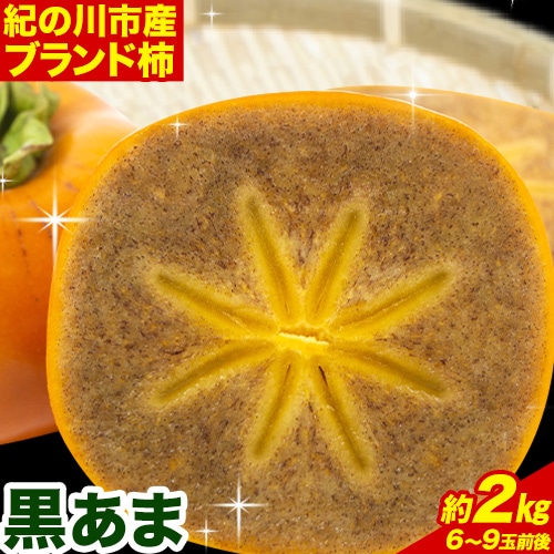 <先行予約>紀の川市産 黒あま 種なし 約2kg(6~9玉前後)4L~2Lサイズ《2025年10月中旬-11月末頃出荷》和歌山県 紀の川市 たねなし柿 くろあま 高級 産地直送 かき 柿 カキ 果物 フルーツ---wfn_wlocal81_10c11m_25_10000_2kg---