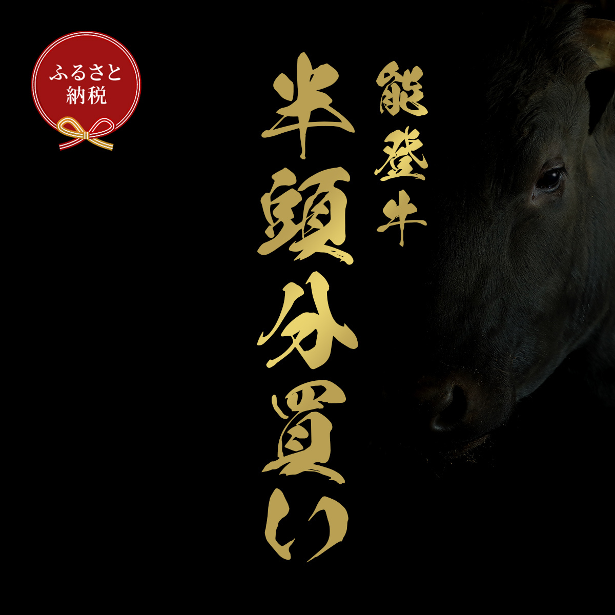 肉【和牛セレブ】能登牛 半頭買い（24分割配送）2個口 黒毛和牛 霜降り ギフト 石川県 能美市