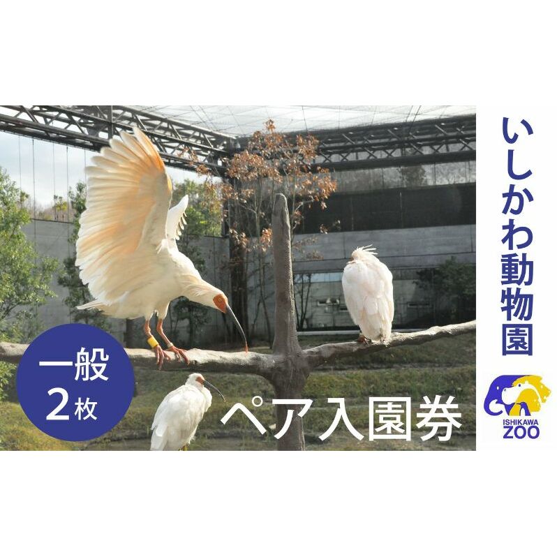 チケット いしかわ動物園ペア入園券(一般)石川県 能美市