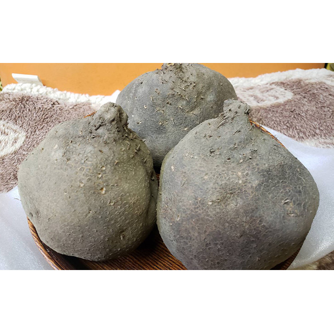 澤田さんちの加賀丸いも　約5kg 野菜 山芋 