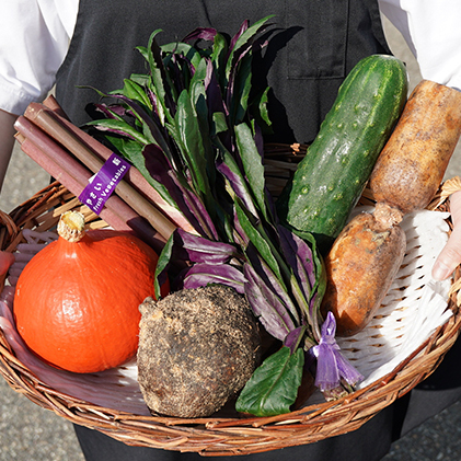 加賀の野菜おまかせ便 セット 詰合せ