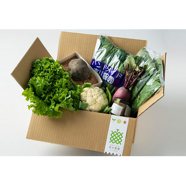 特産「加賀丸いも」入り季節の野菜とオリジナルバーニャカウダセット 詰合せ 調味料 