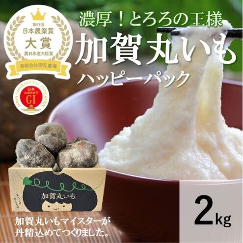 【日本農業賞大賞】加賀丸いもハッピーパック２ｋｇ（３～６個） 野菜 