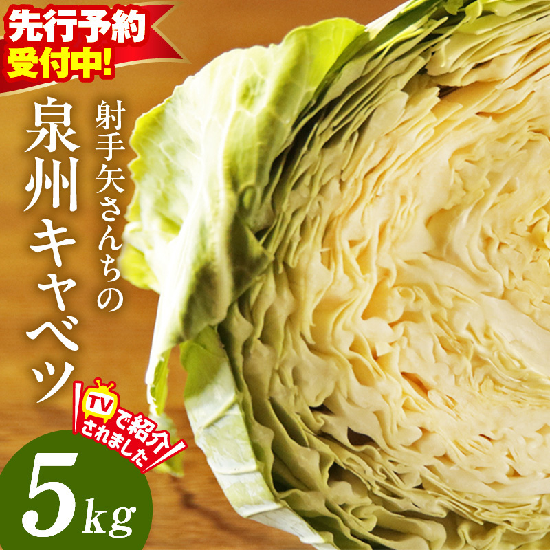 【先行予約】泉州キャベツ 5kg 2~5玉 【新鮮 野菜 泉佐野産 やさい 射手矢農園 高評価 数量限定 TVで紹介!】 G1624