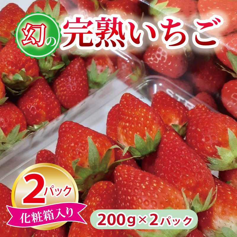 【特別規格】朝摘み完熟いちご 2パック【化粧箱入り 200g×2P 苺 イチゴ フルーツ 果物】 005A359
