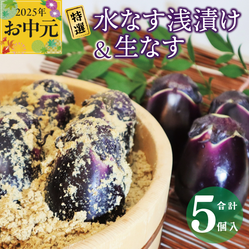 [お中元]特選水なす浅漬け&生なす 5個入り 010B1649t