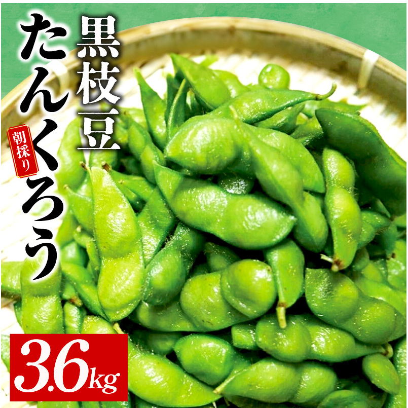 【先行予約】黒枝豆 3.6kg 【新鮮 野菜 泉佐野産 えだまめ やさい TONOファーム 高評価 数量限定 畑から直送 朝採り】 010B141