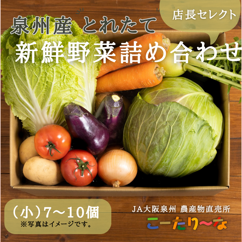 JA大阪泉州 直売所店長セレクト 新鮮野菜セット【7~10個 詰め合わせ 泉佐野産 とれたて 新鮮野菜 やさい 高評価 数量限定】 005A178
