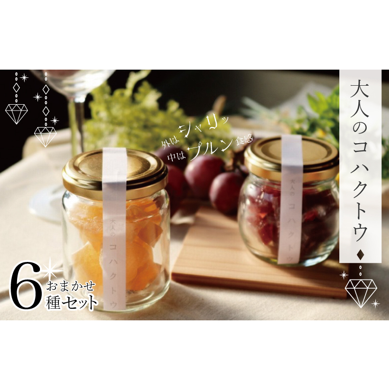 大人のコハクトウおまかせセット 010B378