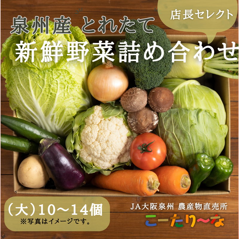 JA大阪泉州 直売所店長セレクト 新鮮野菜セット【10~14個 詰め合わせ 泉佐野産 とれたて 新鮮野菜 やさい 高評価 数量限定】 099H139