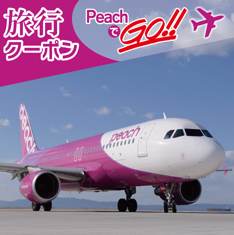 PeachでGo！！泉佐野市宿泊 旅行クーポン（90,000円分）【宿泊 旅行 ホテル トラベル】 099H387