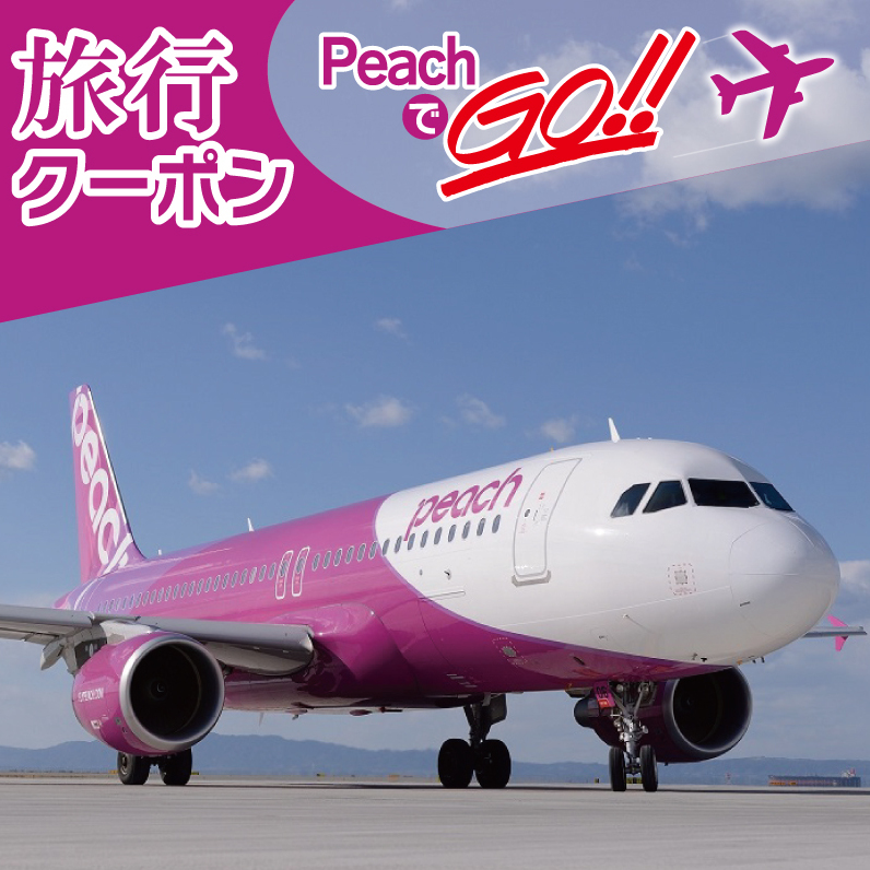 PeachでGo！！泉佐野市宿泊 旅行クーポン（300,000円分）【宿泊 旅行 ホテル トラベル】 099H389