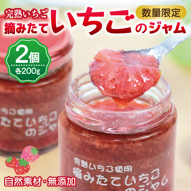 【先行予約】完熟朝摘みいちごのジャム【苺 無添加 自然素材 フルーツ イチゴ 高評価 数量限定】 005A433