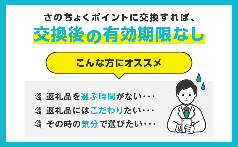【ふるさと納税】【あとから選べる】高槻市ふるさとギフト 500万円分 チョコ はみがき ダイエット 筋トレ 野菜 ハミガキ 肉 ギフト カタログ あとからセレクト グルメ 食品 お取り寄せ おつまみ 詰め合わせ[AOZZ015]