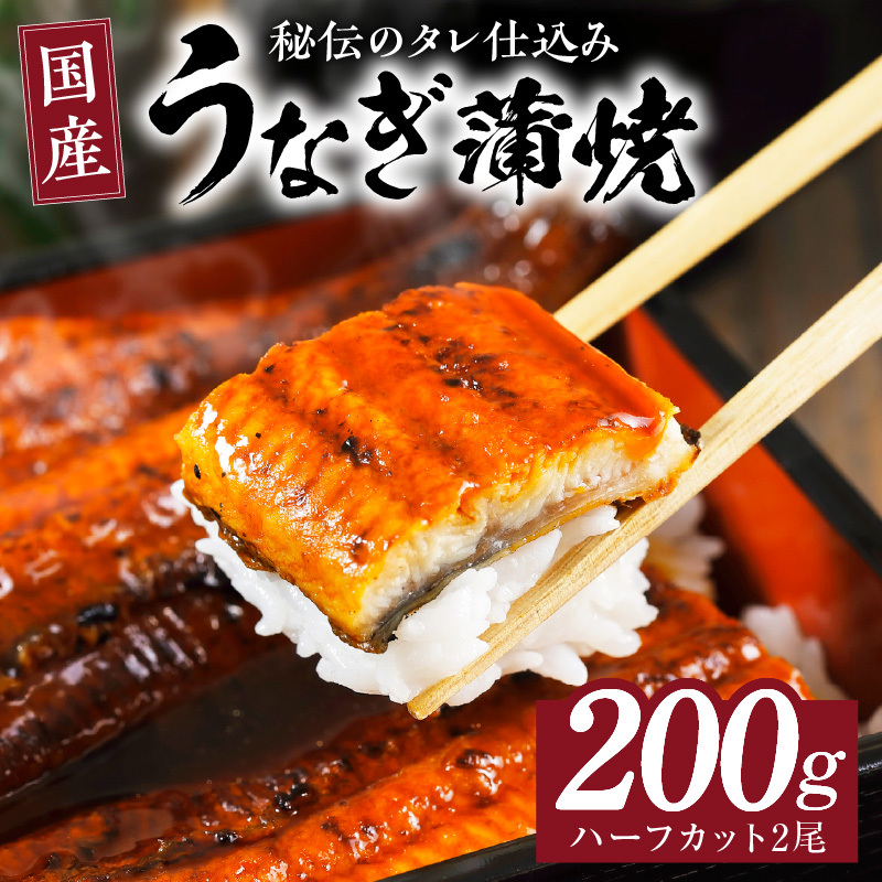 国産うなぎ ハーフカット 合計 200g 秘伝のたれ 蒲焼 訳あり 鰻 ウナギ 無頭 炭火焼き 備長炭 手焼き kgp0037