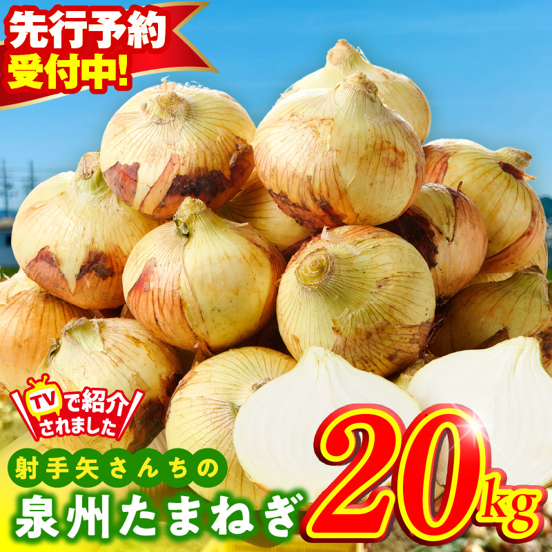 【先行予約】射手矢さんちの泉州たまねぎ 20kg【玉ねぎ タマネギ 玉葱 甘い 野菜 国産 期間限定 オニオン スライス サラダ カレー シチュー バーベキュー BBQ 肉じゃが TVで紹介!】 G3108