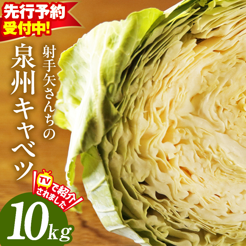【先行予約】射手矢さんちの泉州キャベツ 10kg【新鮮 野菜 泉佐野産 やさい 射手矢農園 高評価 数量限定 TVで紹介!】 G1303