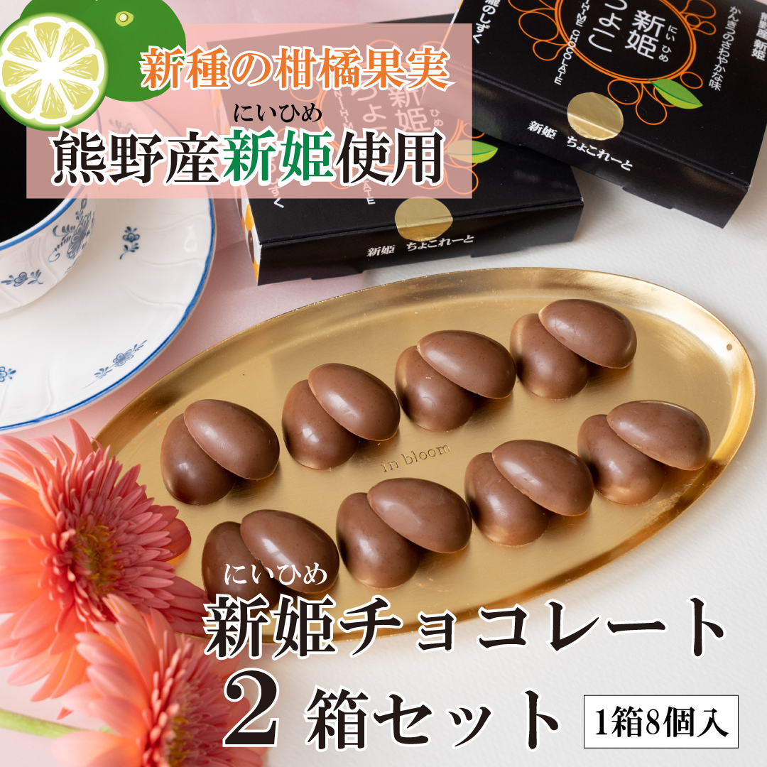 【スピード発送】新姫(にいひめ)チョコレート 2箱セット  瀧のしずく G1085