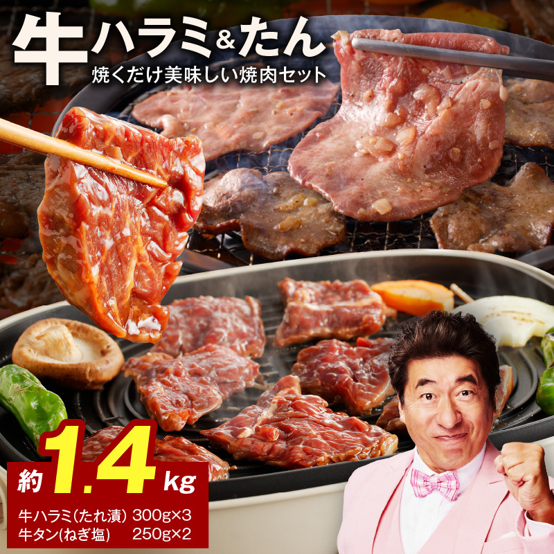 大人気 ファミリー向け 焼肉セット 牛たん 牛ハラミ肉 合計1.4kg【牛肉 焼くだけ 小分け BBQ やきにく 数量限定】 099H3152