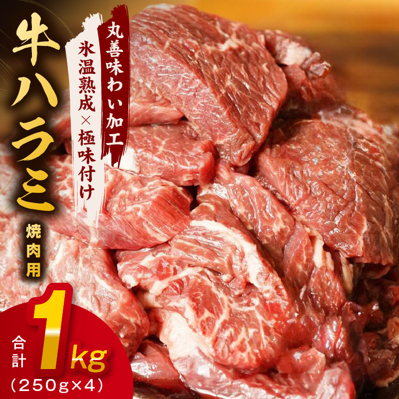 牛肉 ハラミ 1kg 小分け 250g×4P【氷温熟成×極味付け 味付き 牛肉 訳あり 不揃い 焼肉 BBQ 野菜炒め】 mrz0021