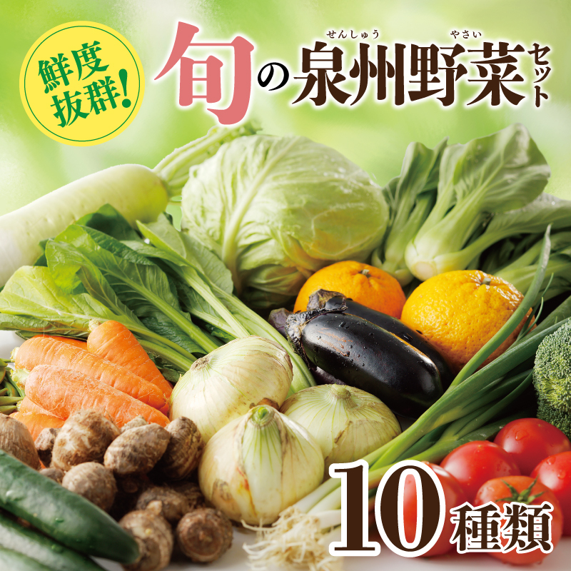 【スピード発送】新鮮 野菜セット 10種類【国産 新鮮 おまかせ お楽しみ 旬 詰め合わせ 泉州野菜】 099H2491