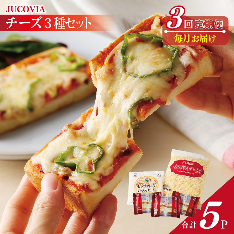 人気チーズ 定期便 3種セット×全3回 ムラカワチーズ【毎月配送 普段使い 高評価 ちーず】 099Z183