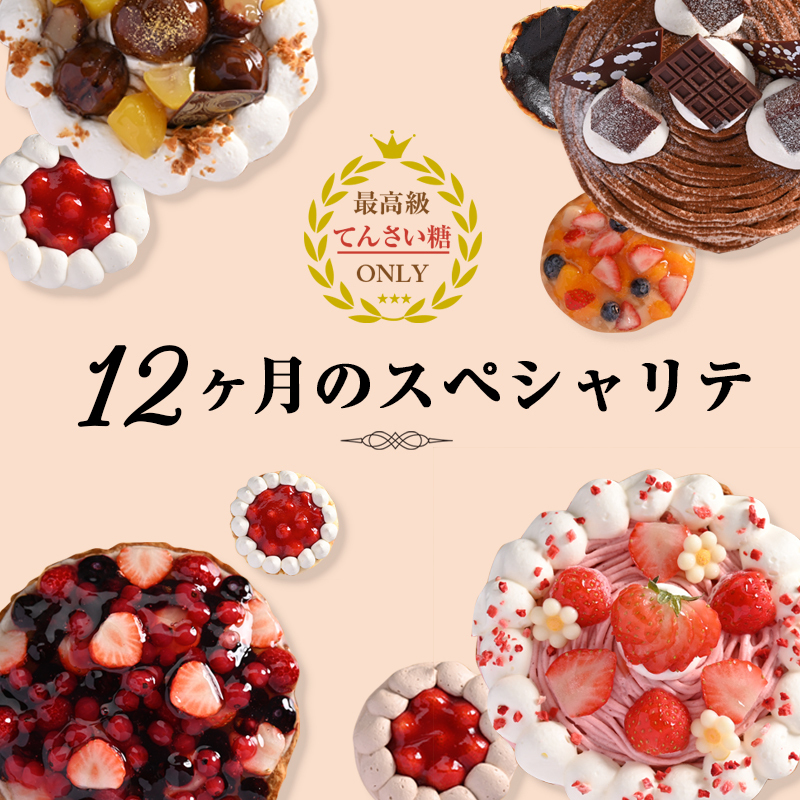 12ヶ月のスペシャリテ 定期便 全12回【毎月配送 洋菓子 スイーツ おやつ てんさい糖 冷凍】 099Z191