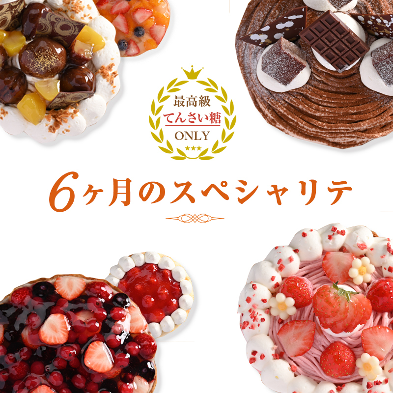 6ヶ月のスペシャリテ 定期便 合計6回【2ヶ月に1回配送 洋菓子 スイーツ おやつ てんさい糖 冷凍】 099Z192