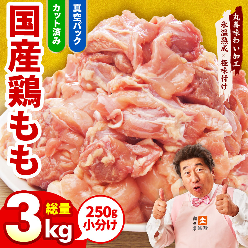 【カット済み】国産 鶏肉もも 3kg【氷温熟成×極味付け 小分け 250g×12P とり もも 簡単調理 唐揚げ 親子丼 家計応援】 mrz0107