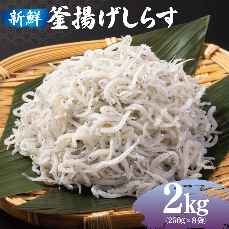 新鮮 釜揚げしらす 合計 2kg 小分け 250g×8P 099H3840